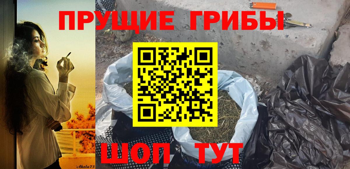 Псилоцибиновые грибы ЛСД  Вход с VPN  Луга 