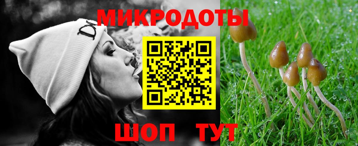 Галлюциногенные грибы Psilocybe Луга